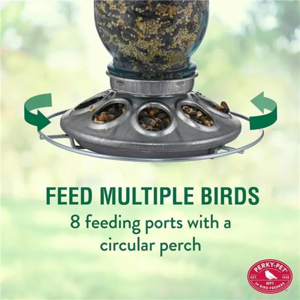 Mason Jar Wild Bird Feeder